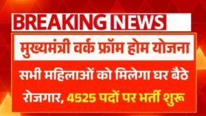 Mukhyamantri Work From Home Yojana