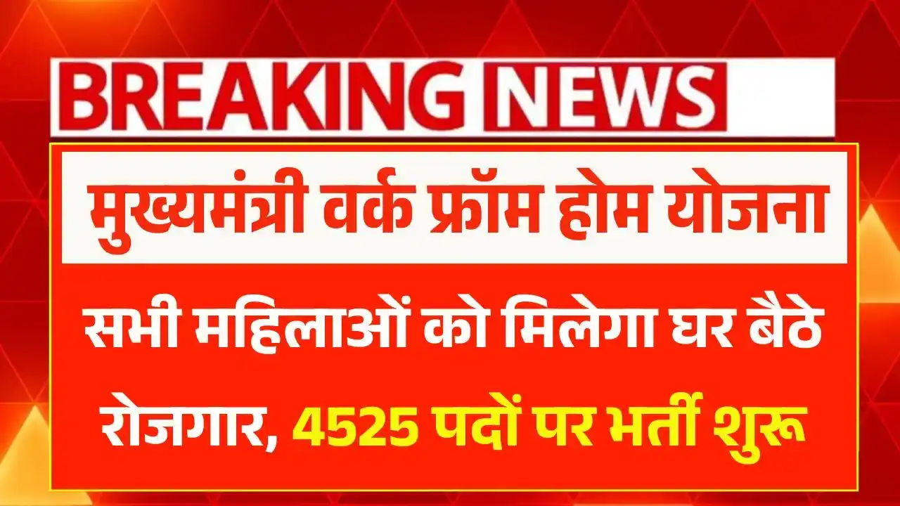 Mukhyamantri Work From Home Yojana